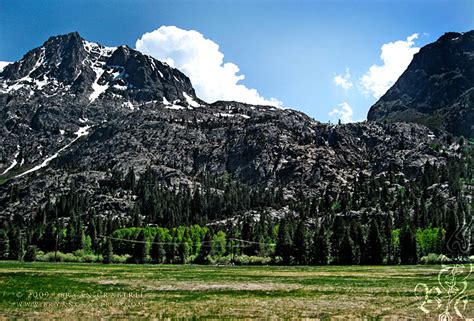 Photography :: Inyo National Forest May 2009 || BC Design