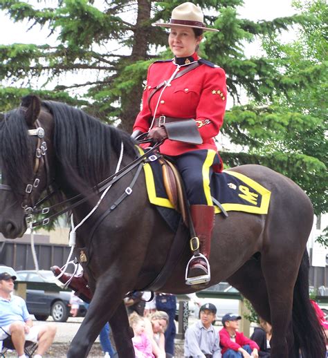 Polic A Real Montada Del Canad