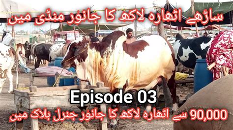 Mandi Series Ep Sohrab Goth Mandi Update Connect Dr Aashir