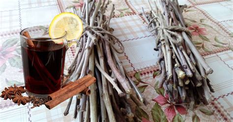 Чем полезен чай из веток и как правильно его заваривать - Со Вкусом