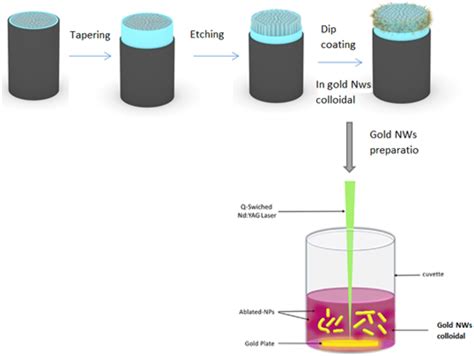 Experimental set-up by laser ablation in solution for the gold Nws... | Download Scientific Diagram