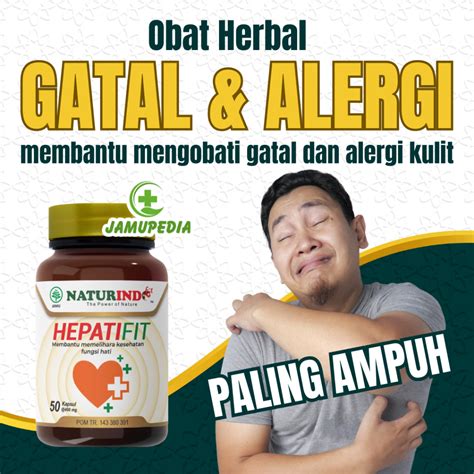 Jual Obat Herbal Biduran Gatal Gatal Eksim Menahun Alergi Dingin Gatel