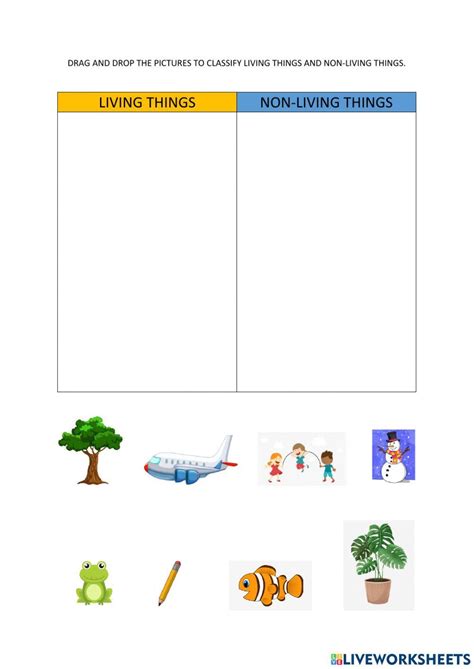 Science (pre-school) online activity | Live Worksheets