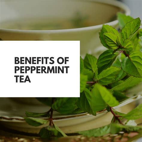 peppermint tea health benefits beach house teas