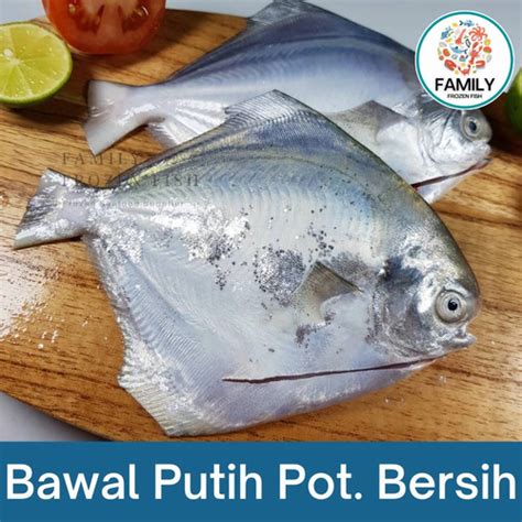 Jual Ikan Bawal Ikan Bawal Putih Laut Segar Frozen Kg Ekor Kg