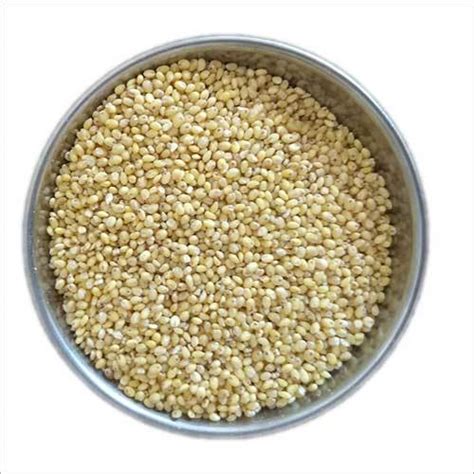 Yellow Healthy Organic Proso Millet At Best Price In Jaipur Faircare