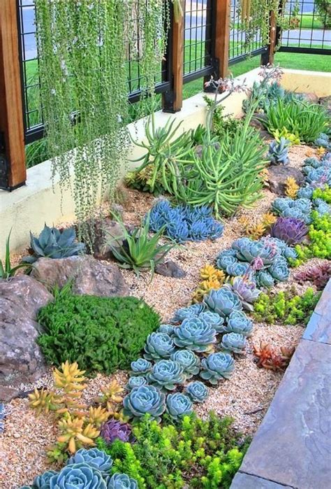 59 Catchy Outdoor Succulent Garden Ideas - DigsDigs