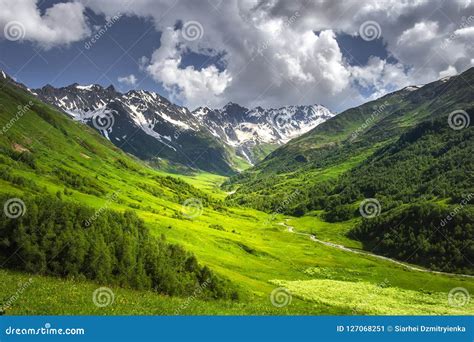 Alpine Mountains Landscape On Bright Sunny Summer Day Grassy Meadow On