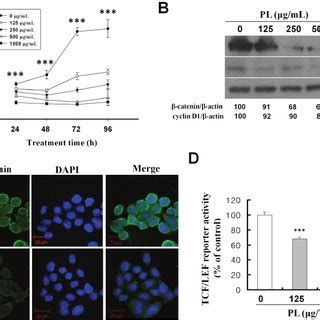 Effect Of PL On The Growth Of Human Colon Cancer Cells In Nude Mice