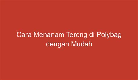 Cara Menanam Terong Di Polybag Dengan Mudah