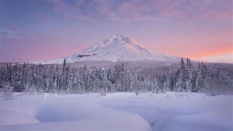 Does It Snow In Oregon? All About Oregon Climate