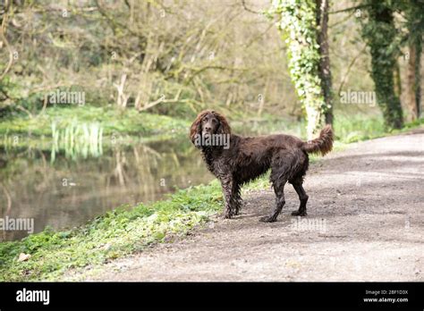 Stroud Canal Hi Res Stock Photography And Images Alamy