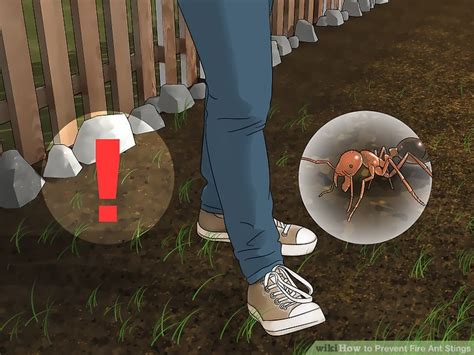 3 Ways to Prevent Fire Ant Stings - wikiHow