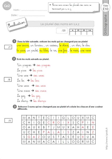 Ce Evaluation Pluriel Des Noms En S X Z Orthographe Hot Sex Picture