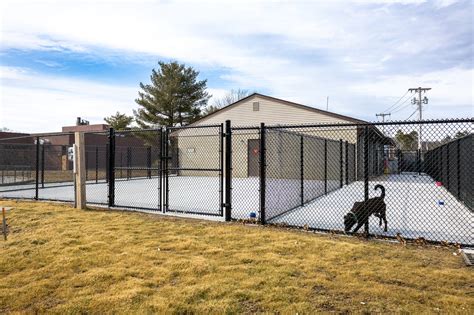North Attleborough Animal Shelter sees major improvements – North Star