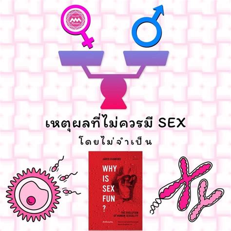 My Memories Reviews เรื่องน่าจำ นำมาเล่า เหตุผลที่ไม่ควรมี Sex โดนไม่จำเป็น 😍 1 การผลิตอสุจิ