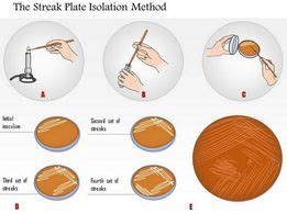 What is the difference between streak and stroke culture? - NEET PG ...