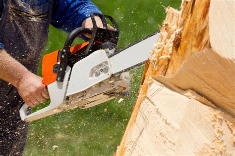 💡 A Guide To Chainsaw Features and Types | BuildEazy