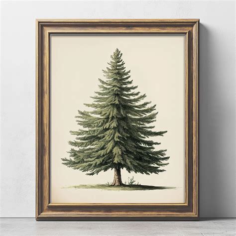 Vintage Christmas Tree Print Pine Tree Vintage Print Winter Holidays Wall Art