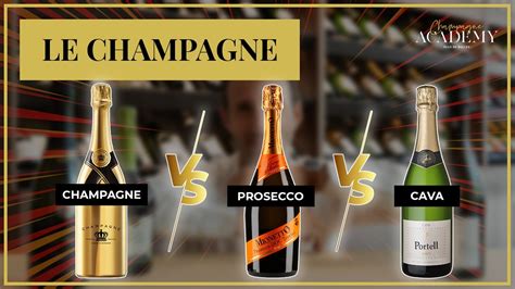 Champagne Vs Prosecco Vs Cava Quelles Diff Rences Youtube