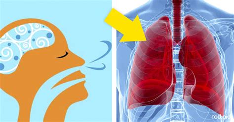 4 Técnicas para limpiar tus pulmones en sólo tres días