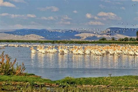 Eber Gölü Kamp Alanı Bolvadin Afyon Geziyoo co