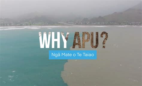 apu te amokura productions