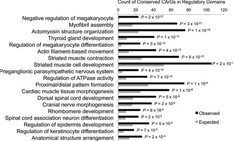 Genomic Regions Enrichment Of Annotations Tool Great Enrichment