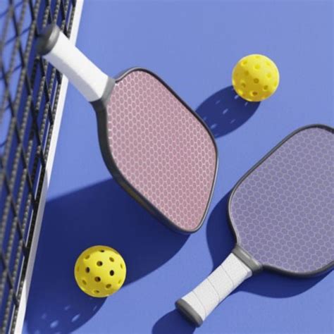 Edmonton Pond - Mixed Doubles Pickleball Tourney | edmontonpond