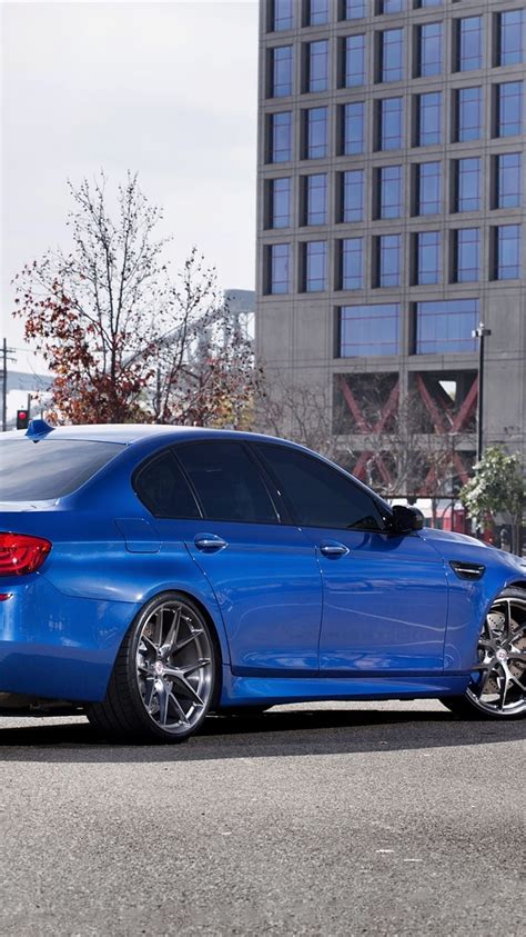 Bmw M5 F10 Blue Car Back View Hd Phone Wallpaper Pxfuel