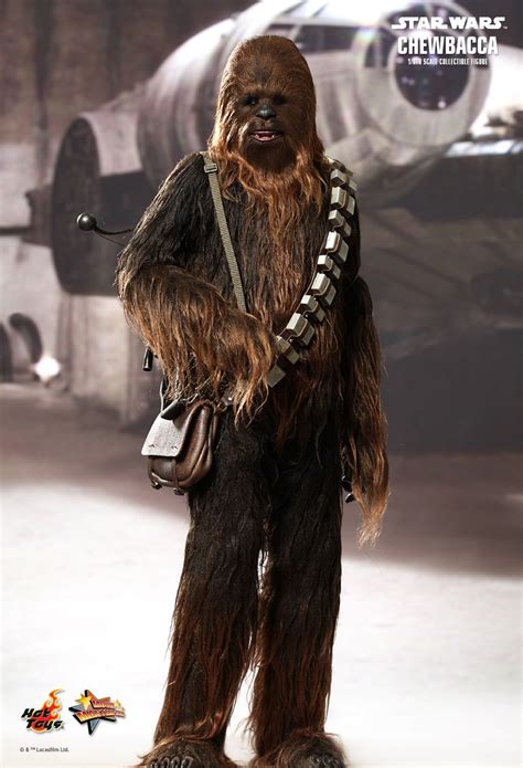 Hot Toys Star Wars Goes Live Chewbacca And Han Solo The Toyark News