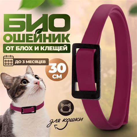 BioDoctor. Повседневный ошейник для кошек против блох и клещей ...