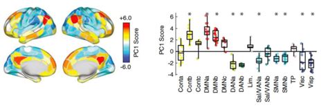 Reprinted With Permissions From Esfahlani Et Al 2020 Areas