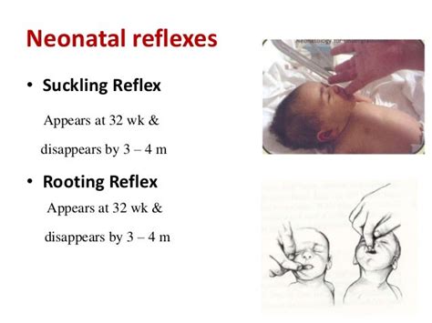 Examination Of Newborn