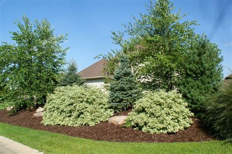 Landscaping A Berm With Trees Edging Pavers And Berms Outdoor