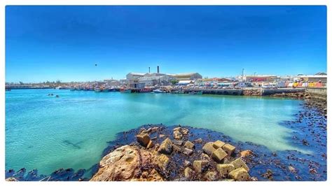 Bird Island Nature Reserve In Lamberts Bay Alex Aitkenhead