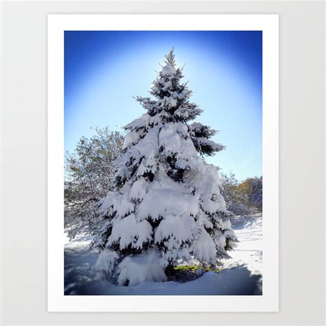 Pine Tree in Snow - 2011 Art Print by Matthew Ranson | Society6