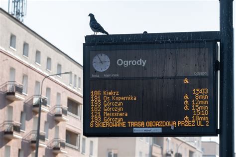 Wi Cej Linii Z Minibusami B Dzie W Poznaniu