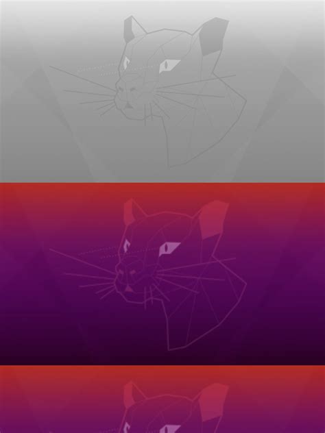 Ubuntu FocalFossa | PDF