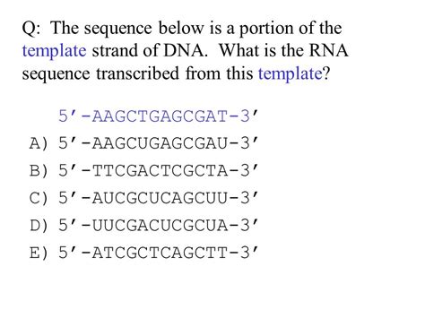 Gene Expression From Dna To Protein To Phenotype How Is Dna