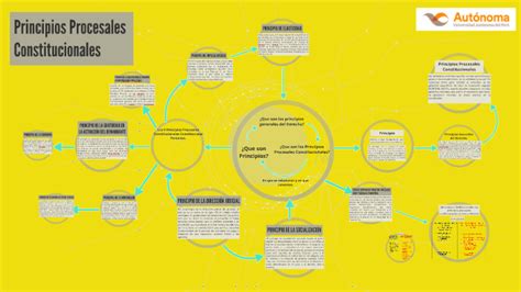 Principios Procesales Constitucionales By Israel Rios On Prezi