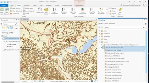 SNIT WFS En ArcGIS Pro YouTube