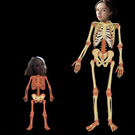 create meme human skeleton human skeleton pictures meme arsenalcom