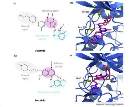 Fda Approved Small Molecule Kinase Inhibitors Trends In