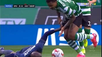 Jugador Muestra Palo Xvideos