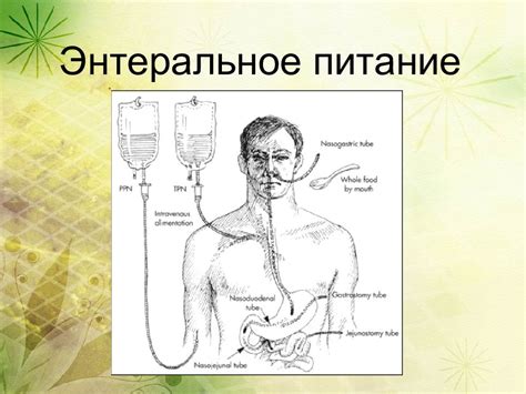 Что такое энтеральное питание? | http://stroikredit.com