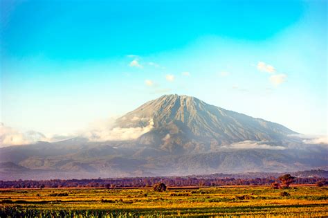 Quando Andare A Arusha National Park Clima E Meteo Il Periodo