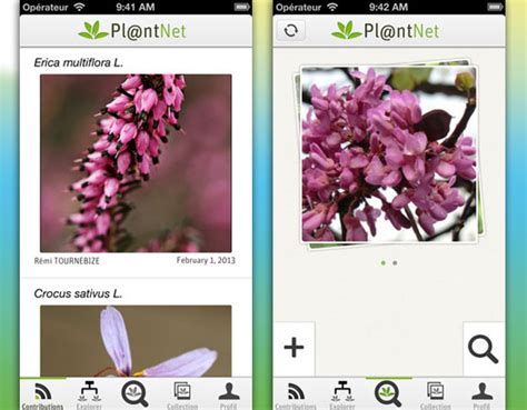 Application Gratuite Pour Reconnaitre Les Plantes Gratuit Mon Blog