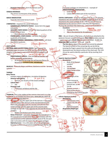 SOLUTION Anterior Thoracic Wall Studypool