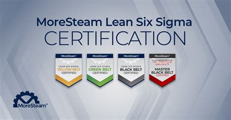 lean  sigma certification   deploy lean  sigma
